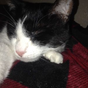 Meet your Posher, Chloe